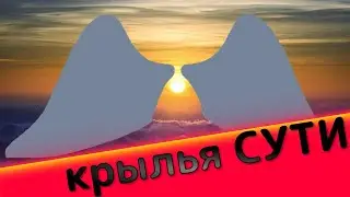 Крылья СУТИ