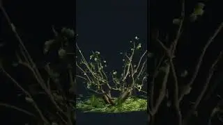 [Freebie] Quick Procedural Bush by Kammerbildfree - Blender