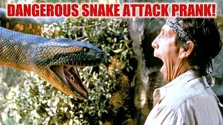 Most Dangerous Snake Attack Prank