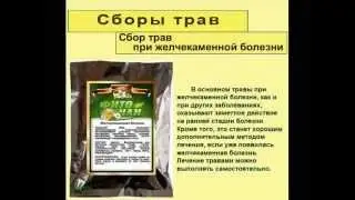 Сбор трав при желчекаменной болезни