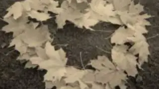 Небо