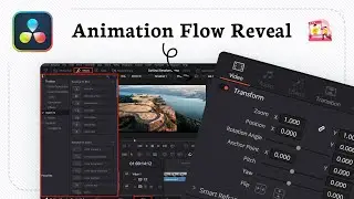 How to see keyframes in DaVinci Resolve (Frame Control)