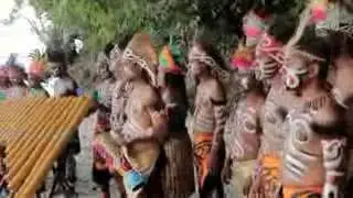 Festival budaya biak papua indonesia