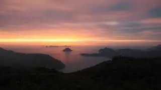 Natural World   NOCTURNE - Asher Fulero