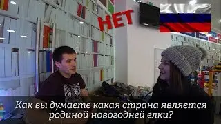Родина новогодней ёлки. Что нужно сделать, когда встречаешь праздник один.