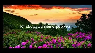 К Тебе душа моя стремится...