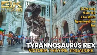 [4K] Tyrannosaurus Rex 