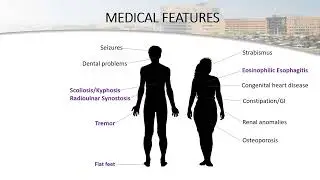 Drs. Tartaglia & Davis - Beyond Hormones: medical conditions & physical symptoms in X/Y variations