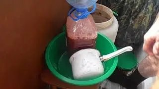 Домашняя вино из слив, сливовица ч.5.
