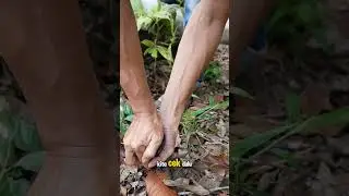 Cara menggunakan Alat ukur ph tanah..