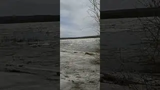 ход льда по Енисею.