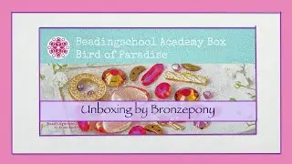 Beading School Academy - Bird of Paradise Bi-Monthly Box