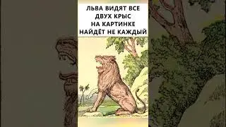 Найдёте на картинке двух крыс? 