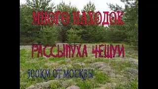 Много Серебра. Чешуя. Много Елизаветы!! Equinox 800