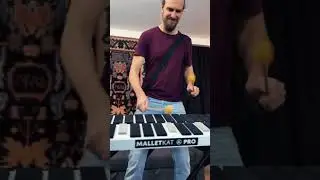 Axel Thesleff - Harboring Souls (Home Studio Live)