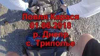 Ловля Карася или Ловля Крупного Карася на Фидер Летом