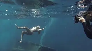 Artemis Calendar 2016 - 2° Promo, Under the Sea.