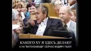 политиканы