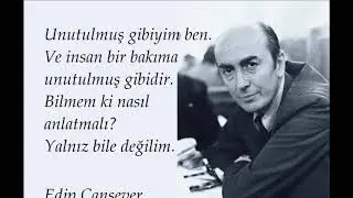 Yalnız bile değilim | Fidan Dinç