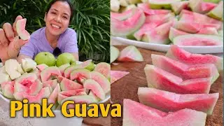 Watermelon Guava ang tawag nila dito