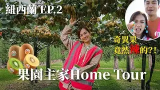 [紐西蘭EP.2] 6公頃🥝果園只須 XXX 萬? 奇異果本來是辣🌶️?! 參觀果園園主的家，奇異果包裝工廠｜鄧卓殷 AmberTang #Zespri #奇異果 #紐西蘭