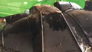 02182018_171847.mov