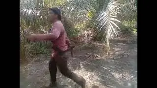 KO NYO BURUAN BASOSO TUH SANAK