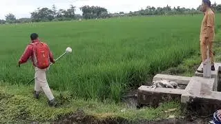 Review pengukuran tanah sawah untuk sertifikat tanah shm