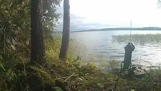 *Рыбалка 2020*Фидер на диком острове, босяцкий обед ,а мимо плывут пароходы.