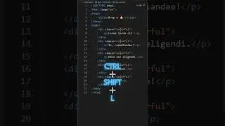 Why you should use Ctrl Shift L in VS Code to boost your productivity