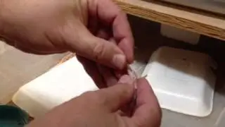 Hand Feeding Babies 101