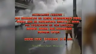 Турция наказания или испытание от Аллах'а? (الله)