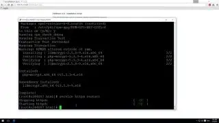 How to Setup an dynamic Website on Unmanaged VPS Server