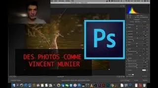 PHOTO ANIMALIERE : Comment faire des photos comme Vincent Munier 🌲