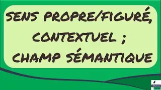 The polysemy of words: literal/figurative meaning, contextual; semantic field, etc.