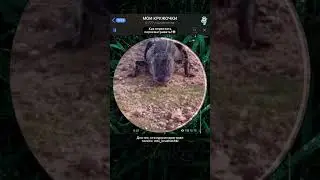 🤣🤣 