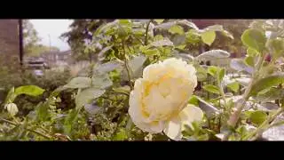 Sony Xperia 1 - CineAlta video sample - 21:9 4K