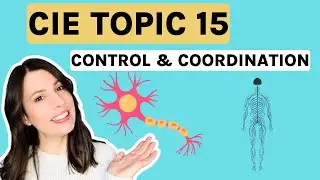 Control & Coordination (NERVOUS SYSTEM). ENTIRE Topic 15  for CIE A-level