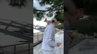 Белка Чип на Набережной Гурзуфа😎 