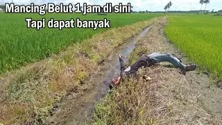 Istri Minta Dicarikan Ikan Mujair! Kita Pasang Bubu Dan Mancing Belut, Hasilnya Lumayan