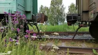 СЦЕПКА ВАГОНОВ,РАБОТА ТЕПЛОВОЗА ТЭМ2-5315/ТЭМ2У-9199.Звук автосцепок