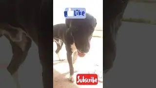 😂😂😂