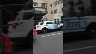 Votação em New York.  Fila gigante Muita gente