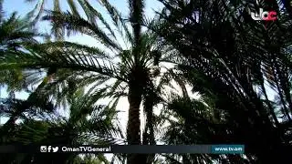 #حارات