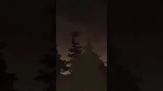 23 января 2024 г.