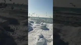 Каспий #зима