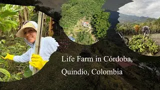 Farm Life in Córdoba Quindío Colombia ~ Fresh Harvest