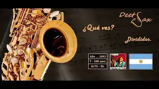 🇦🇷  ¿QUE VES? - Divididos - Alto Sax