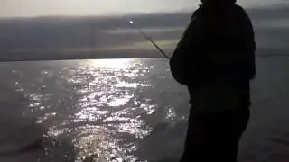 The Great Fishing Expedition at Grand Isle, Before BP Oil Spill