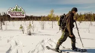 In the taiga in a log cabine. Hike in the woods. Beautiful taiga. North of Russia.